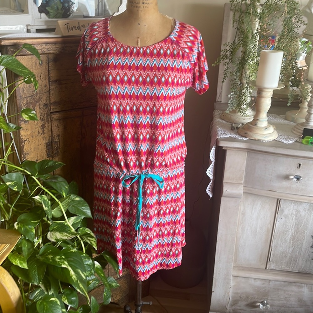 Harley dress/ swim cover